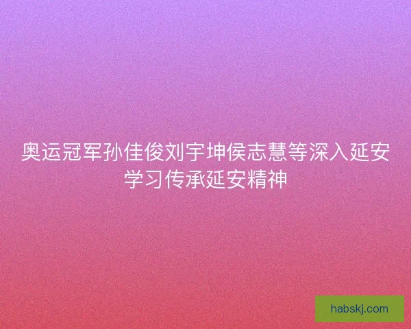 奥运冠军孙佳俊刘宇坤侯志慧等深入延安学习传承延安精神